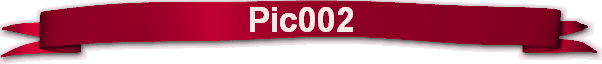 Pic002