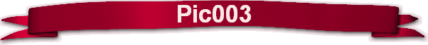 Pic003