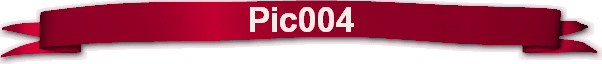 Pic004