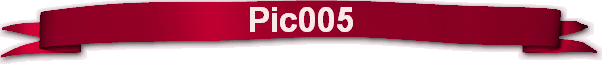 Pic005