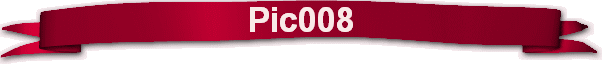 Pic008
