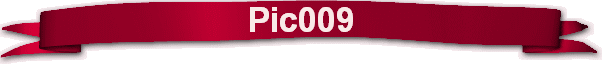 Pic009