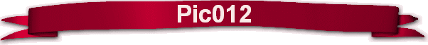 Pic012