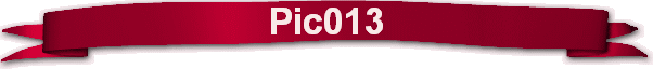 Pic013