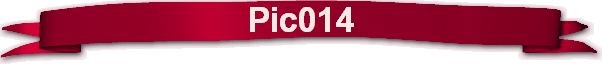 Pic014