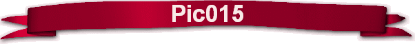 Pic015