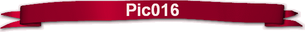 Pic016