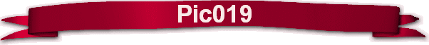 Pic019