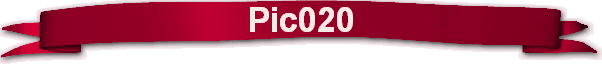 Pic020