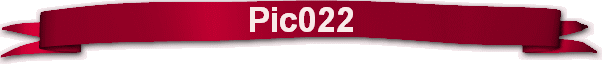 Pic022